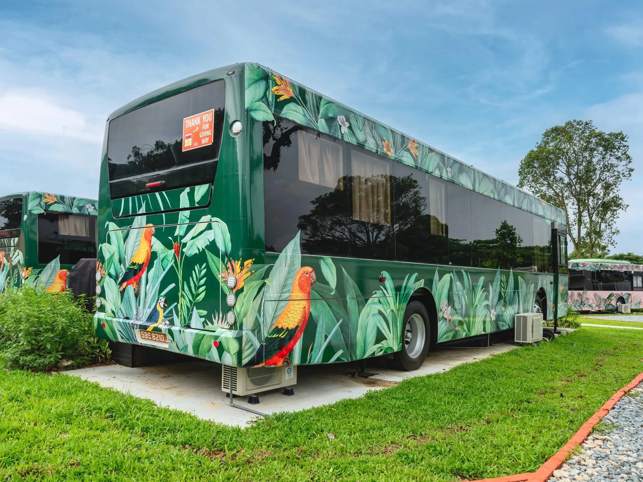 A retired bus transformed into a green tropical-themed suite at The Bus Collective